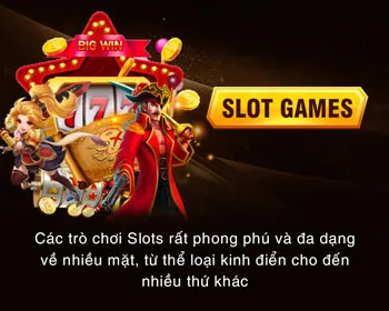 Tốc độ và hiệu suất
